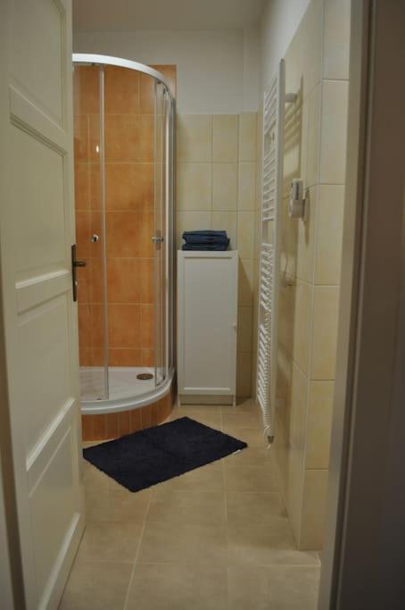 Apartment In Praha 3 Buitenkant foto